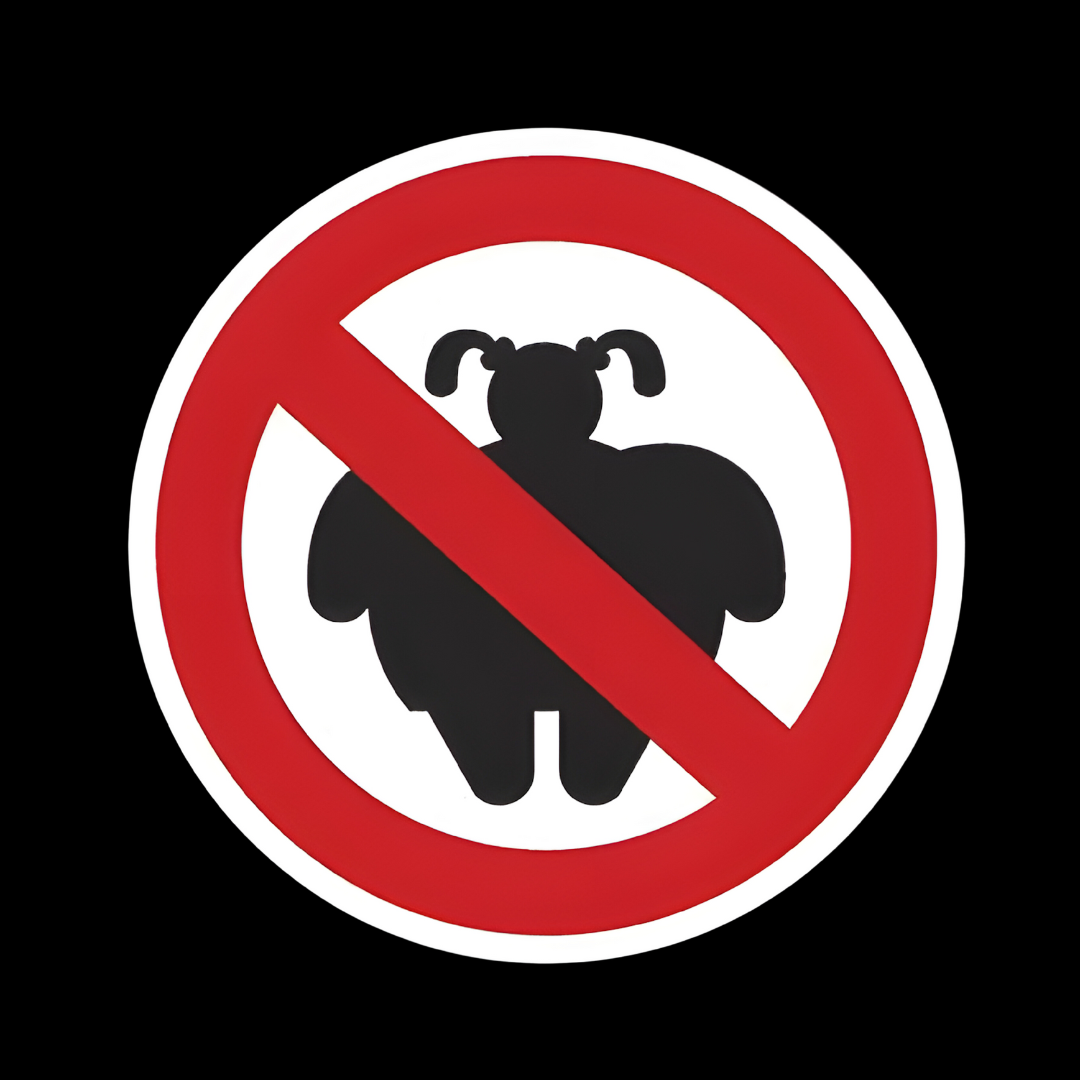 OVERSIZE qr "prohibido gordas"